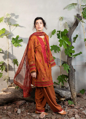 Sobia Nazir - Fall Edit'24 - Design 7A