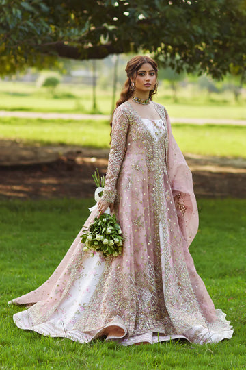QALAMKAR-SAIRA
