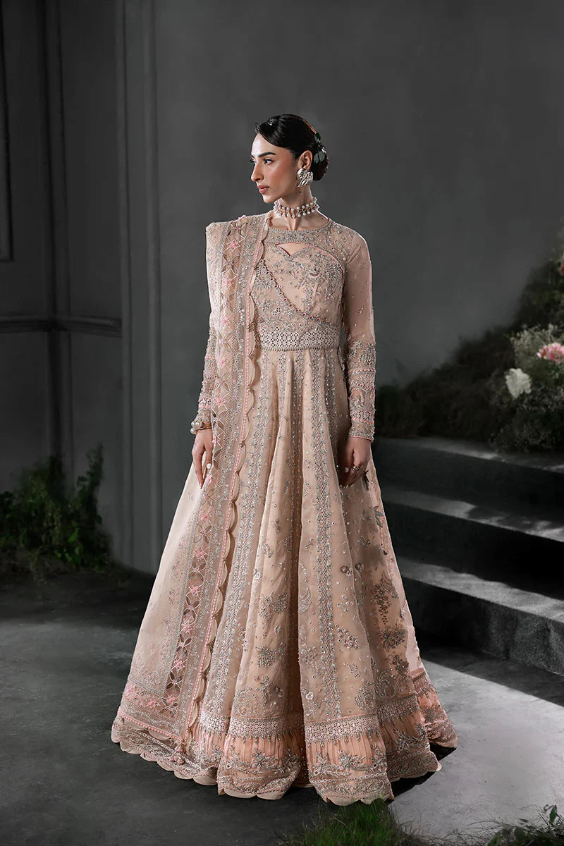 Qalamkar Elira Formals 25
