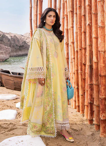 Sadaf Fawad Khan  Amani (A)