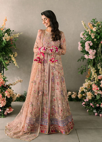 Mushq Mastani Evening Luxury Chiffon'24 Sona