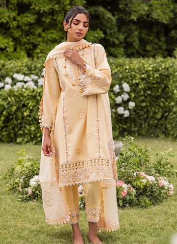 Sadaf Fawad Khan  Zaphira (A)